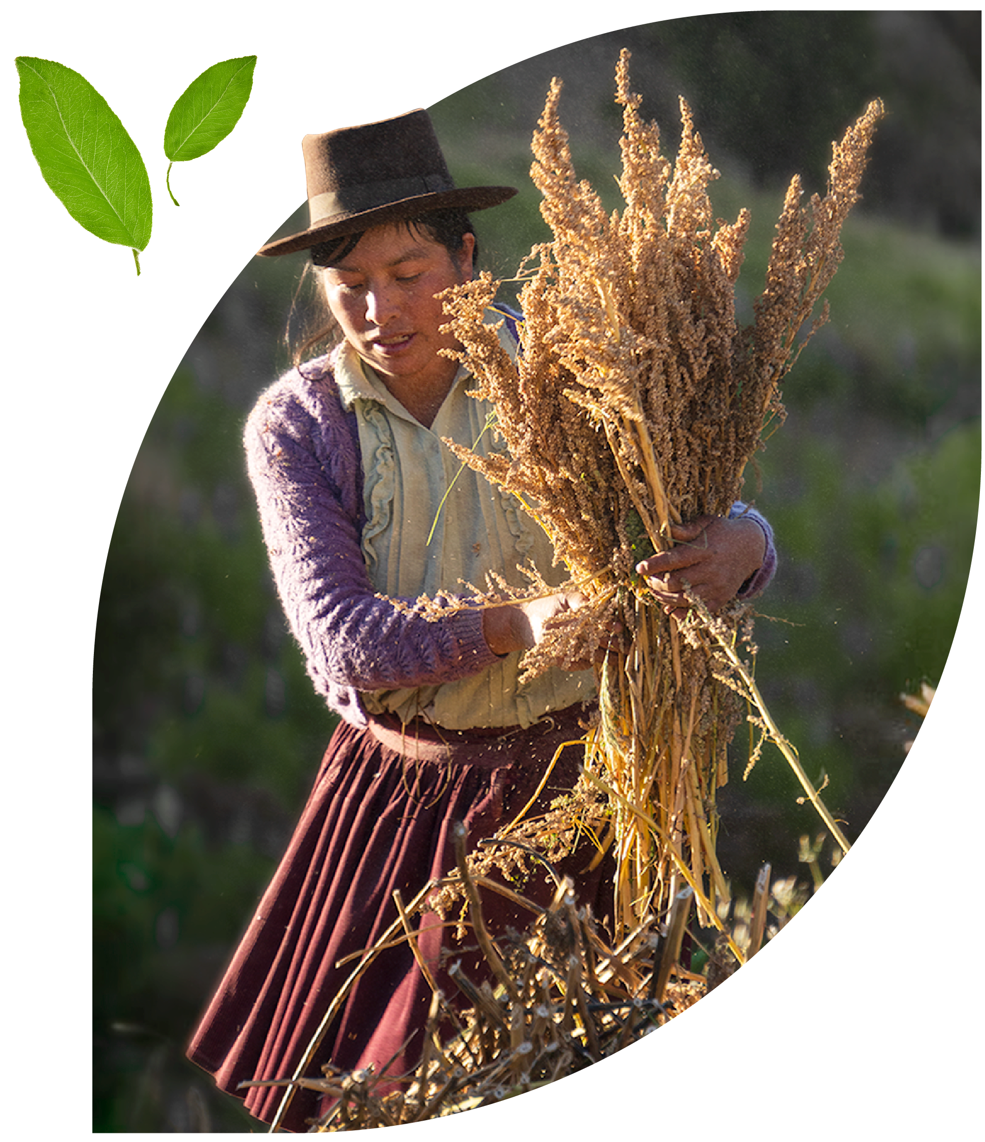 Agricultora de Warmi